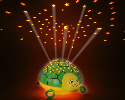 Starlight Turtle